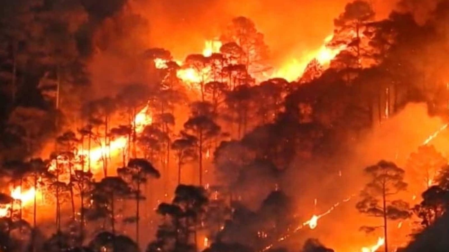 Nainital forest fire reaches near IAF station; helicopters, Army deployed: 10 points.