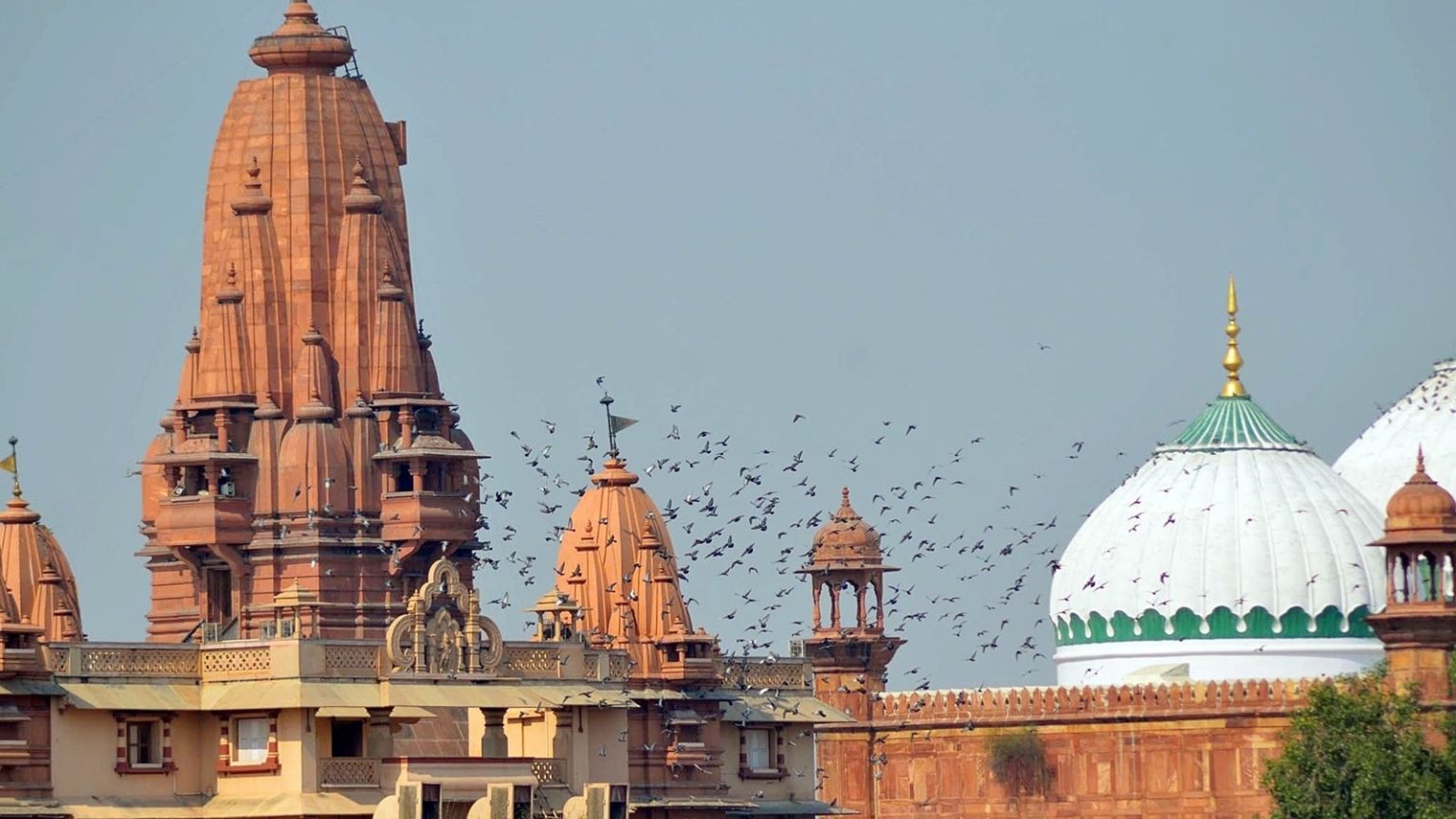 Krishna Janmabhoomi case: In setback to Muslim side, HC dismisses plea against suits.
