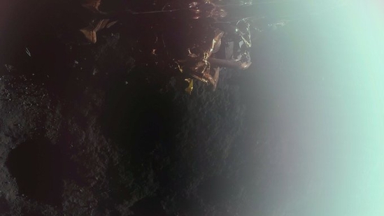 First Moon image captured by Firefly Aerospace’s Blue Ghost revealed.