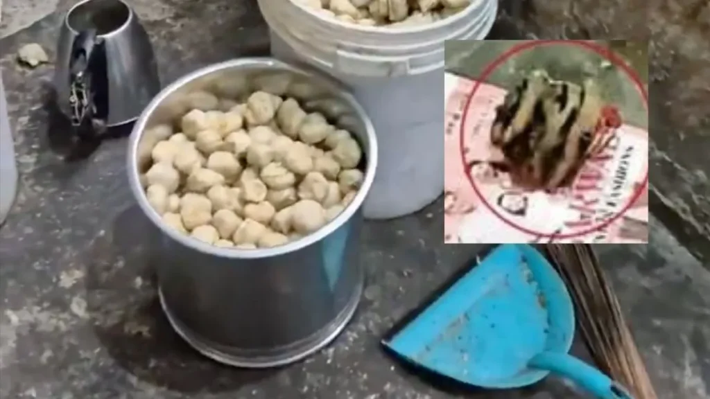 Punjab officials raid unhygienic momo factory, find severed dog’s head in fridge.