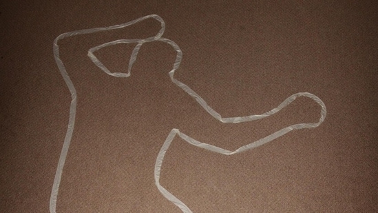 Ghee, alcohol, fire: How forensic student, crime show lover, made deadly cocktail to kill partner in Delhi.