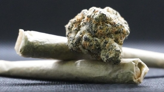 Ganja ‘home delivery’: How gang busted in Noida used apps to ship its ‘stuff’.